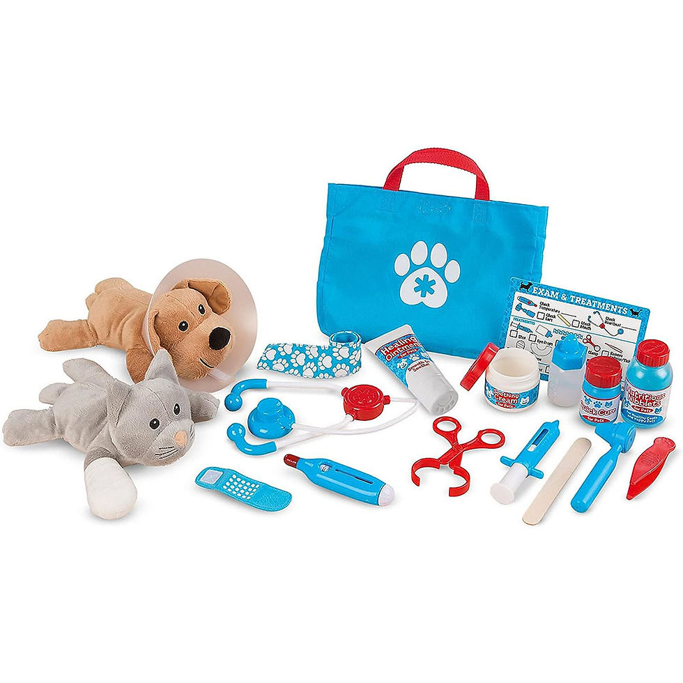 Μικρογραφία: Melissa & Doug Examine and Treat Pet Vet Play Set (24 pcs)