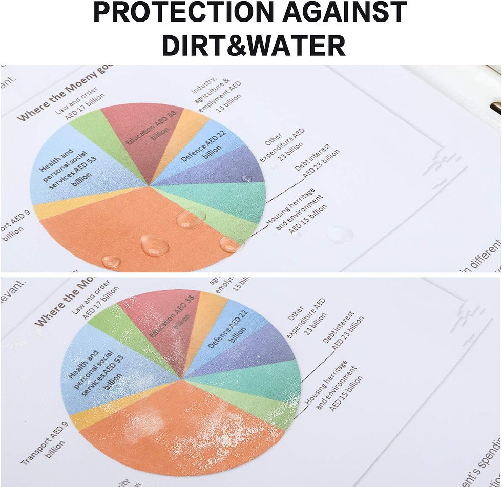 Miniature : Sheet Protectors, PANDRI 500 Pack
