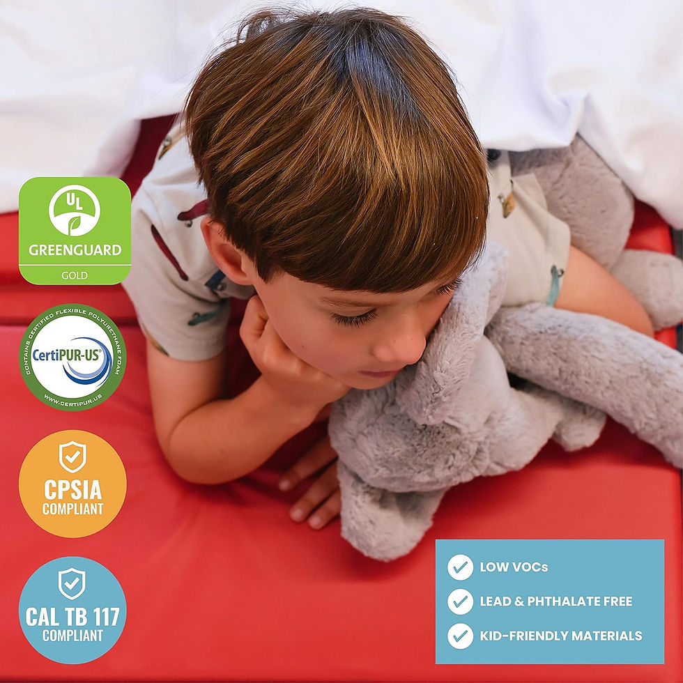 Miniaturbild: ECR4Kids Premium Folding Rest Mat,  Sleeping Pad, Blue/Red