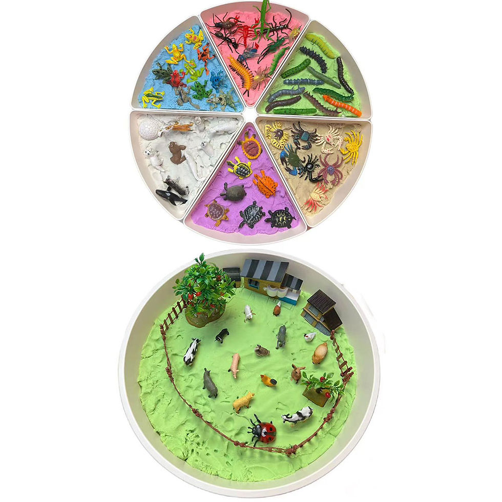 Μικρογραφία: Sensory Bin with Removable Trays