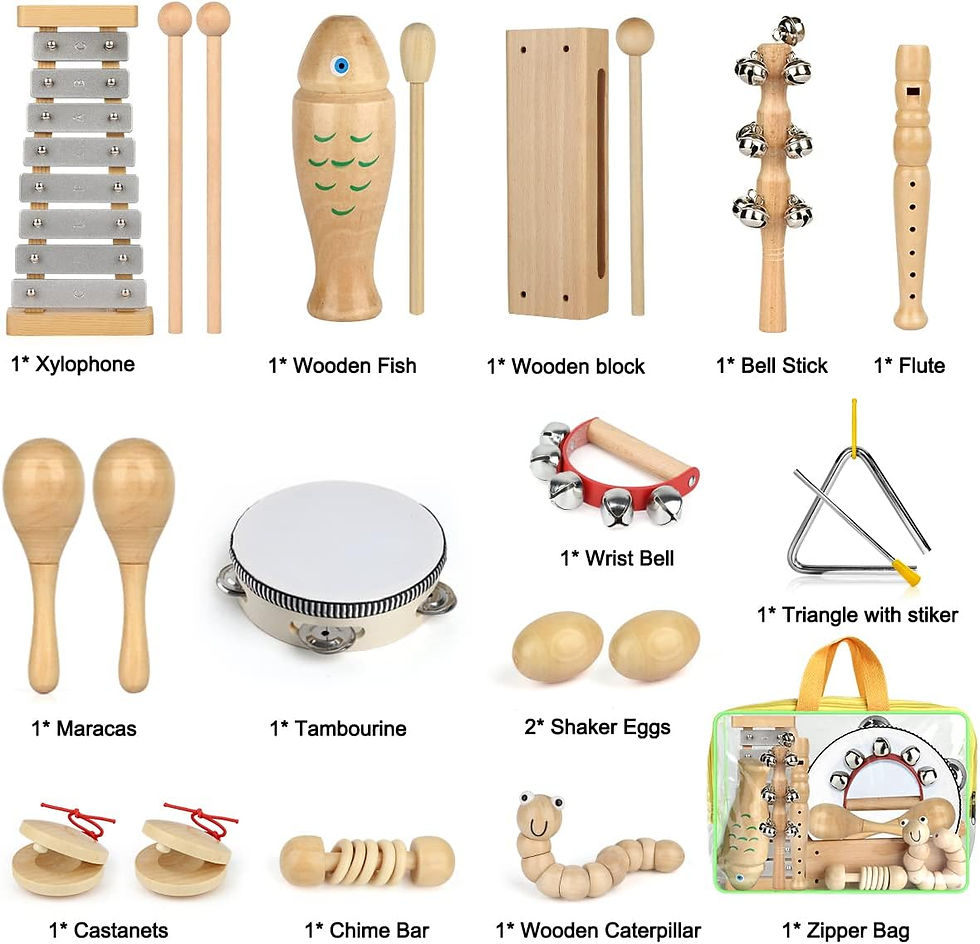Μικρογραφία: kaqinu Kids Musical Instruments, 23 Packs