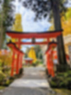 Vermilion torii gate at Takkoku no Iwaya in Hiraizumi Japan framing a gravel path leading to a Buddhist pavilion surrounded by blazing yellow ginkgo and autumn maple trees