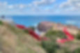 Bright red torii gates winding down a coastal cliffside toward the Sea of Japan.