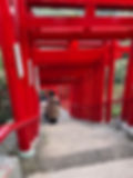 Visitors walking down stone steps under a tunnel of red torii gates at Motonosumi Inari Shrine.