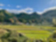 Panoramic view of rice paddies framed by forested mountains near Hagi, Yamaguchi Prefecture.