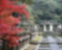 Path lined with historic stone lanterns at Tōkō-ji Temple during autumn foliage.