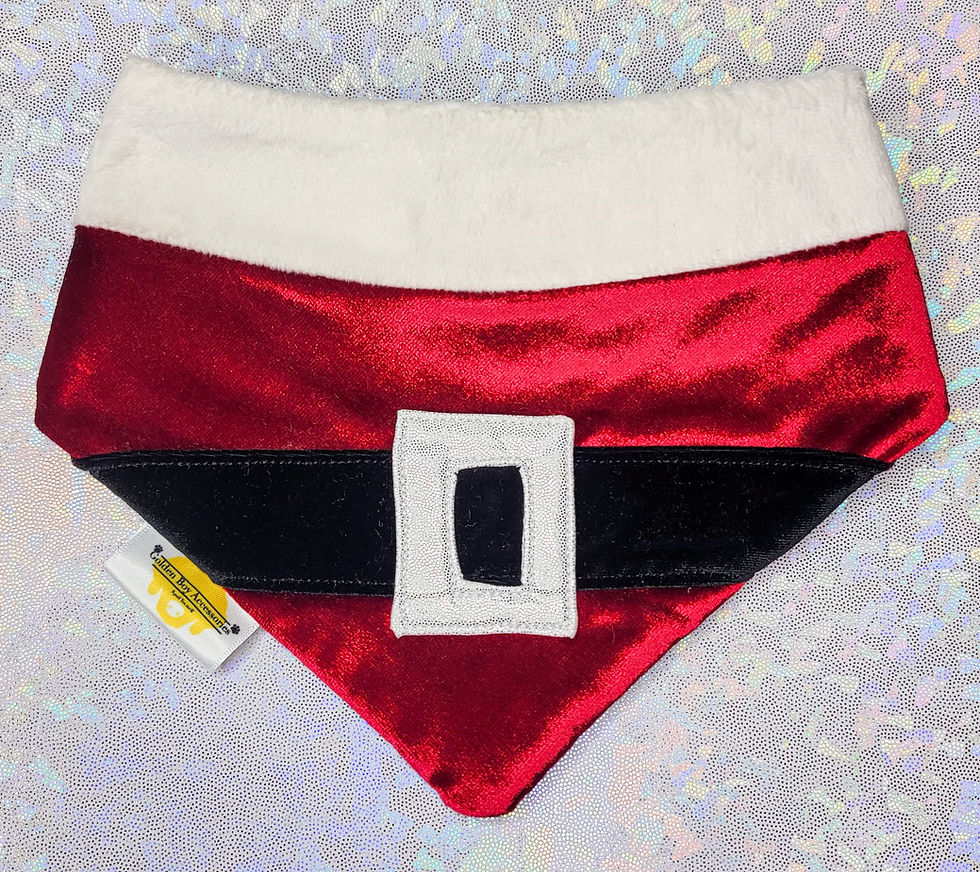 Mrs. Claus - Reversible Snap