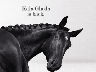 HT | KALA GHODA
