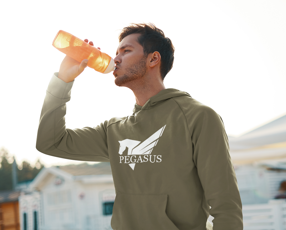 Thumbnail: Pegasus Men's Athleisure Fleece Hoodie