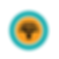 FNB logo_colour