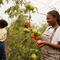 side-view-women-taking-care-plants.jpg