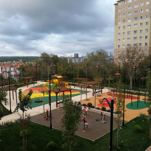 park.jpg