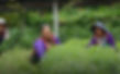 10-ร้อยใจรักษ์-project_2x-700x440.jpeg