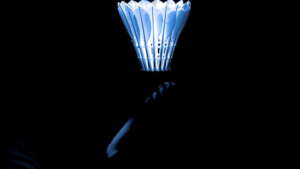badminton-5535163_1280.jpg