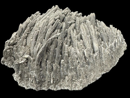 Magnesium Deficiency in Mars/Saturn Dominant Subjects