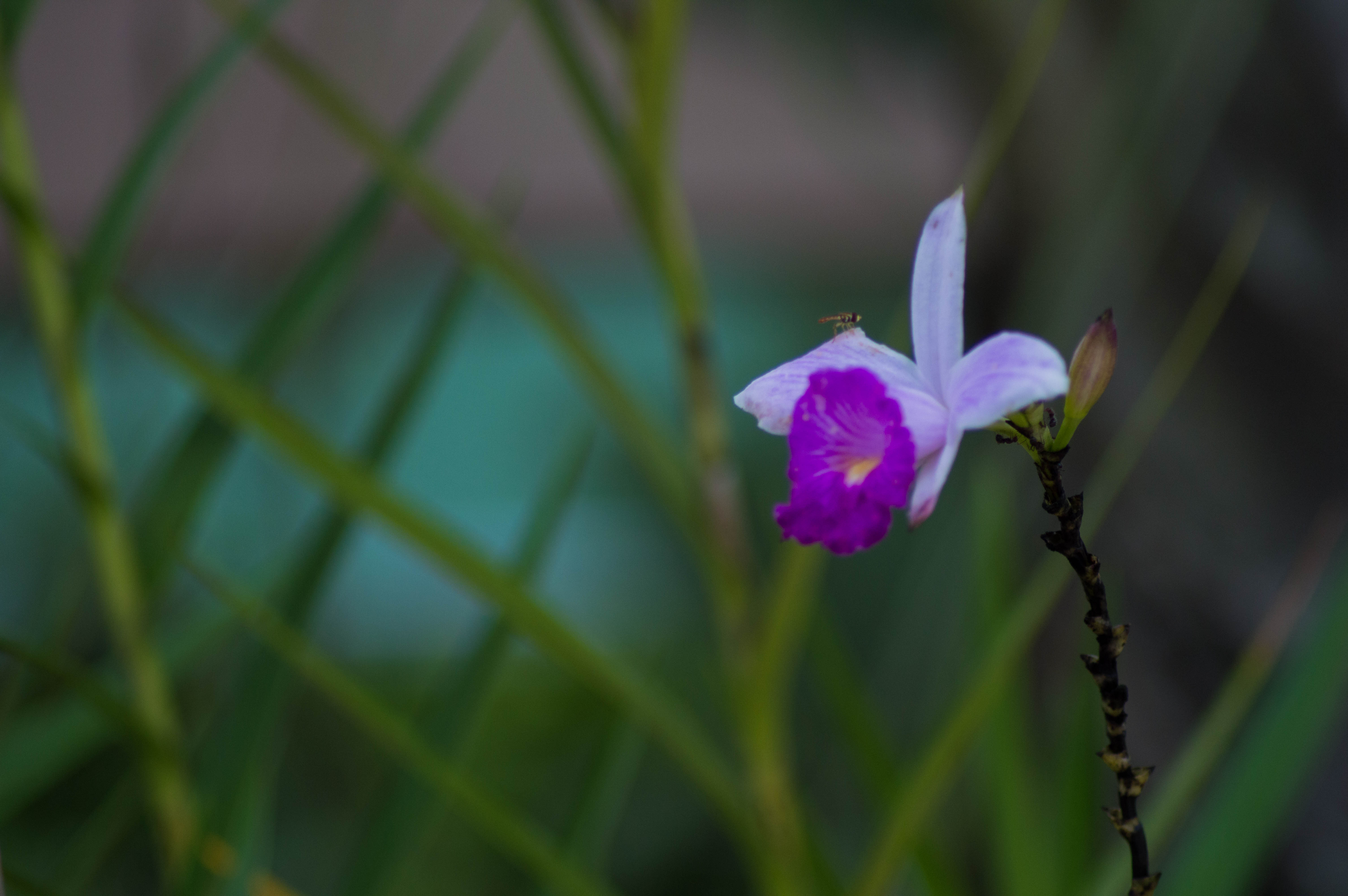 DSC_0286.jpg