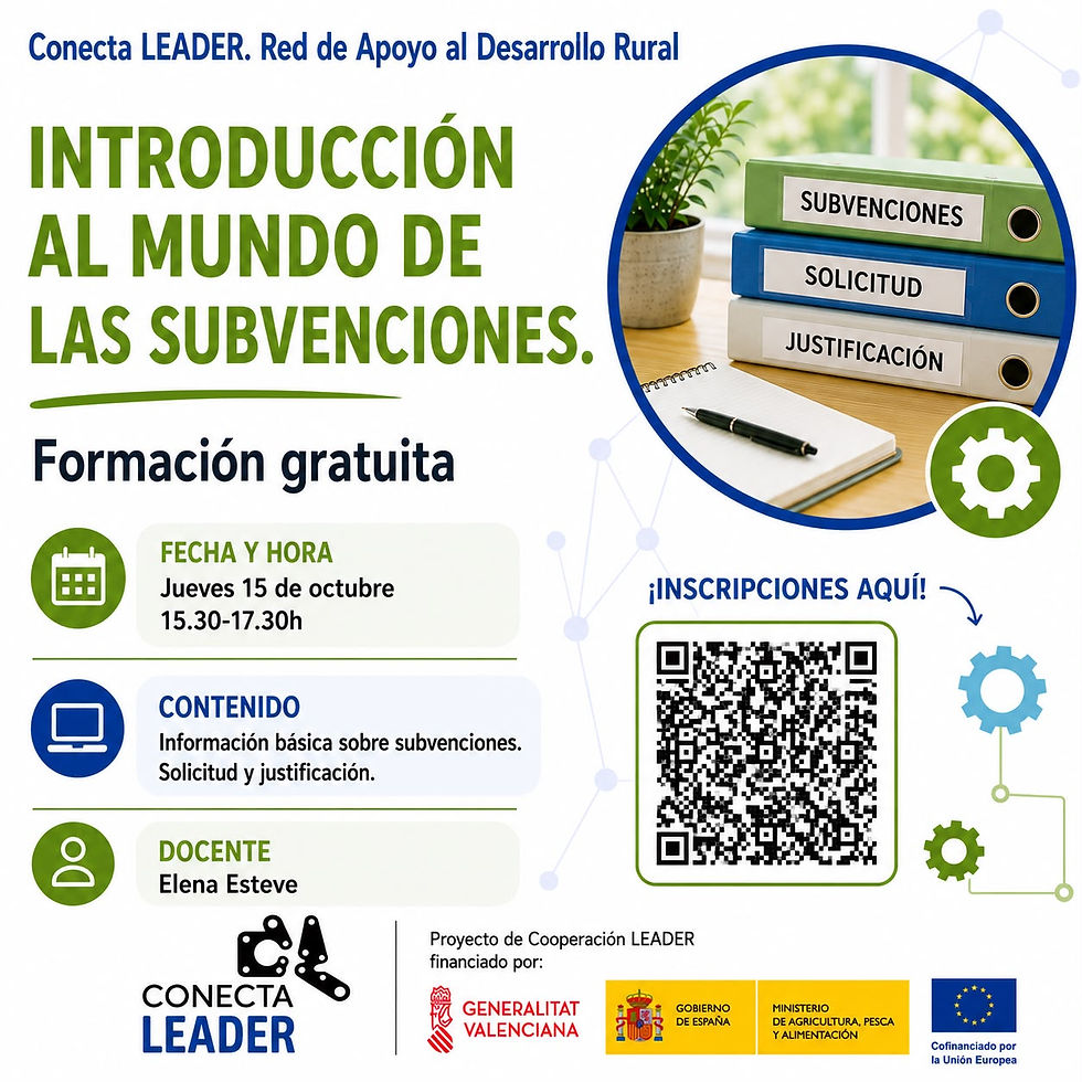 Introducció al món de les subvencions.