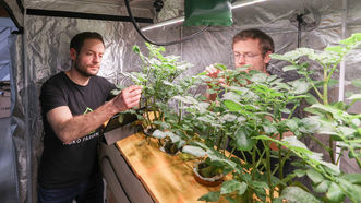 Two entrepreneurs are further developing vertical farming for farmers