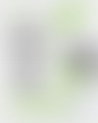 Apresentação dos resultados do 2ºquadrimestre de 2025