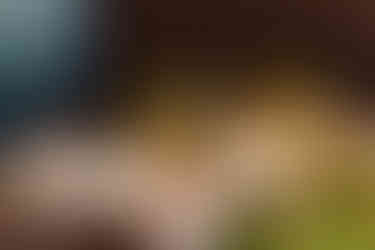 Runde Hochzeitstische mit modernen Blumenarrangements in warmen Farbtönen, gestaltet von GAEA Design, florales Eventstyling und Hochzeitsdekoration Schweiz.