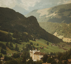 Forested slopes above the Saanenland valley