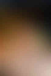 Detailaufnahme einer modernen floralen Tischdekoration mit Anthurien, Dahlien und feinen Sommerblüten, GAEA Design florales Eventdesign Schweiz.