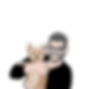 1635478325996.png