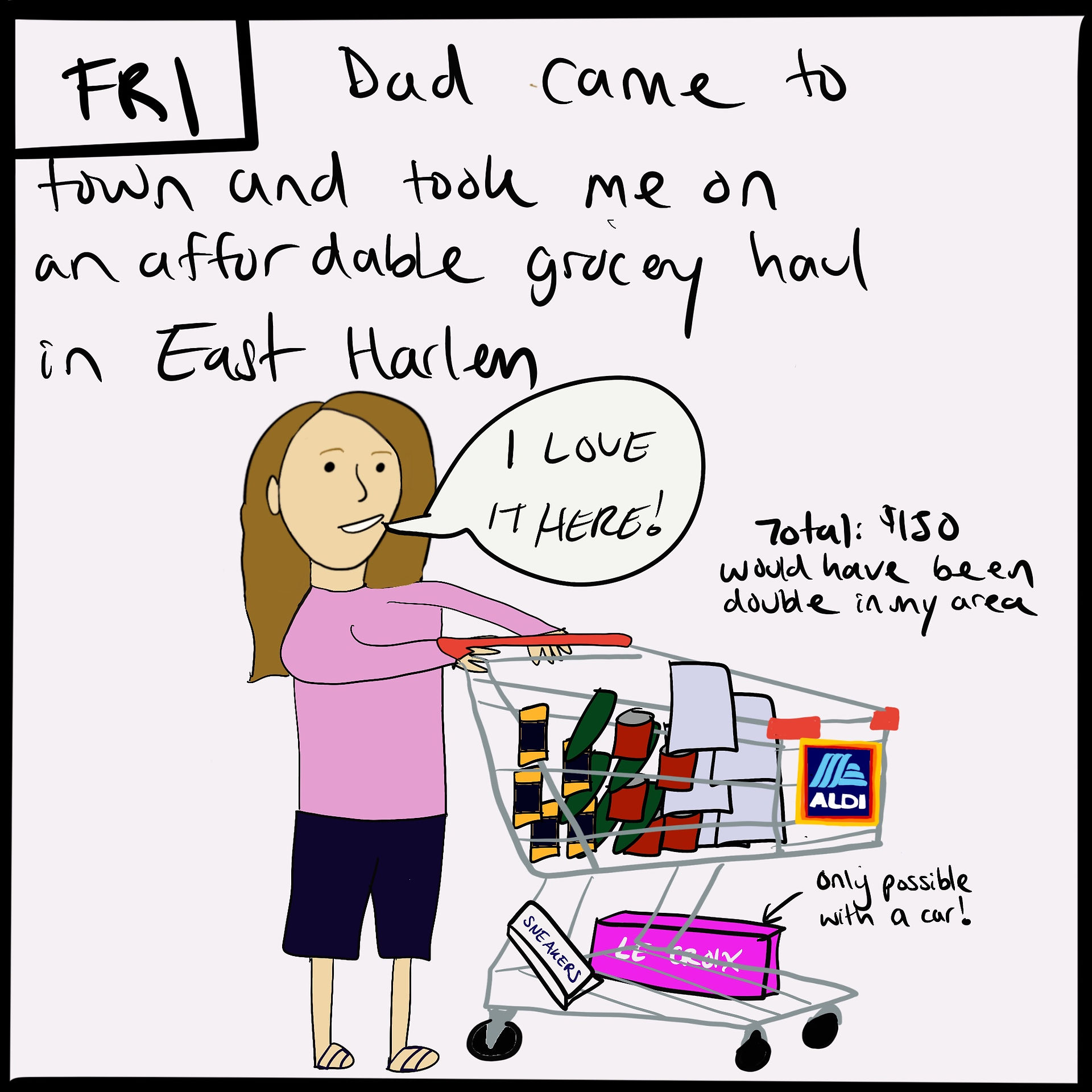 I shopped at Aldi for food