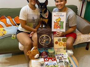 Forever Home for Olive!