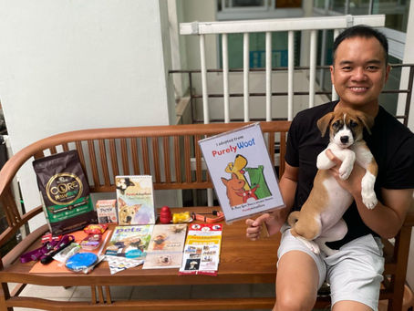 Forever Home for Jade!