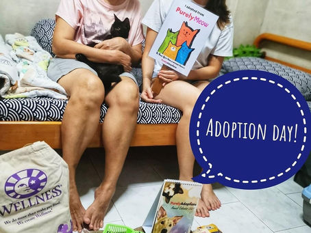 Forever Home for Casper!
