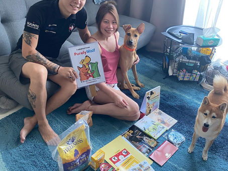 Forever Home for Maddie!