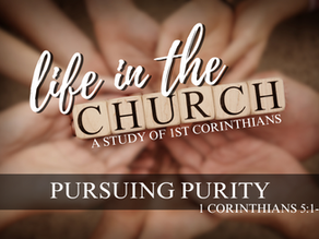 Pursuing Purity