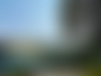 記 爸爸百日悼念|覺察八二三戰役「鴻運作戰」的榮光