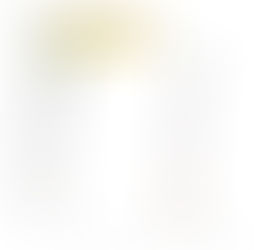 台灣商場｜台中漢神洲際購物廣場：一場用 6 小時「停車權」置換「數位主權」的豪賭