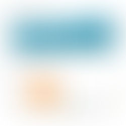 零售產業|2019.Q1 - 2025.Q2 實體與網路營收趨勢