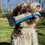 Thumbnail: Fire Hose Dog Toy