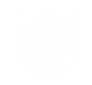 Firework icons.png