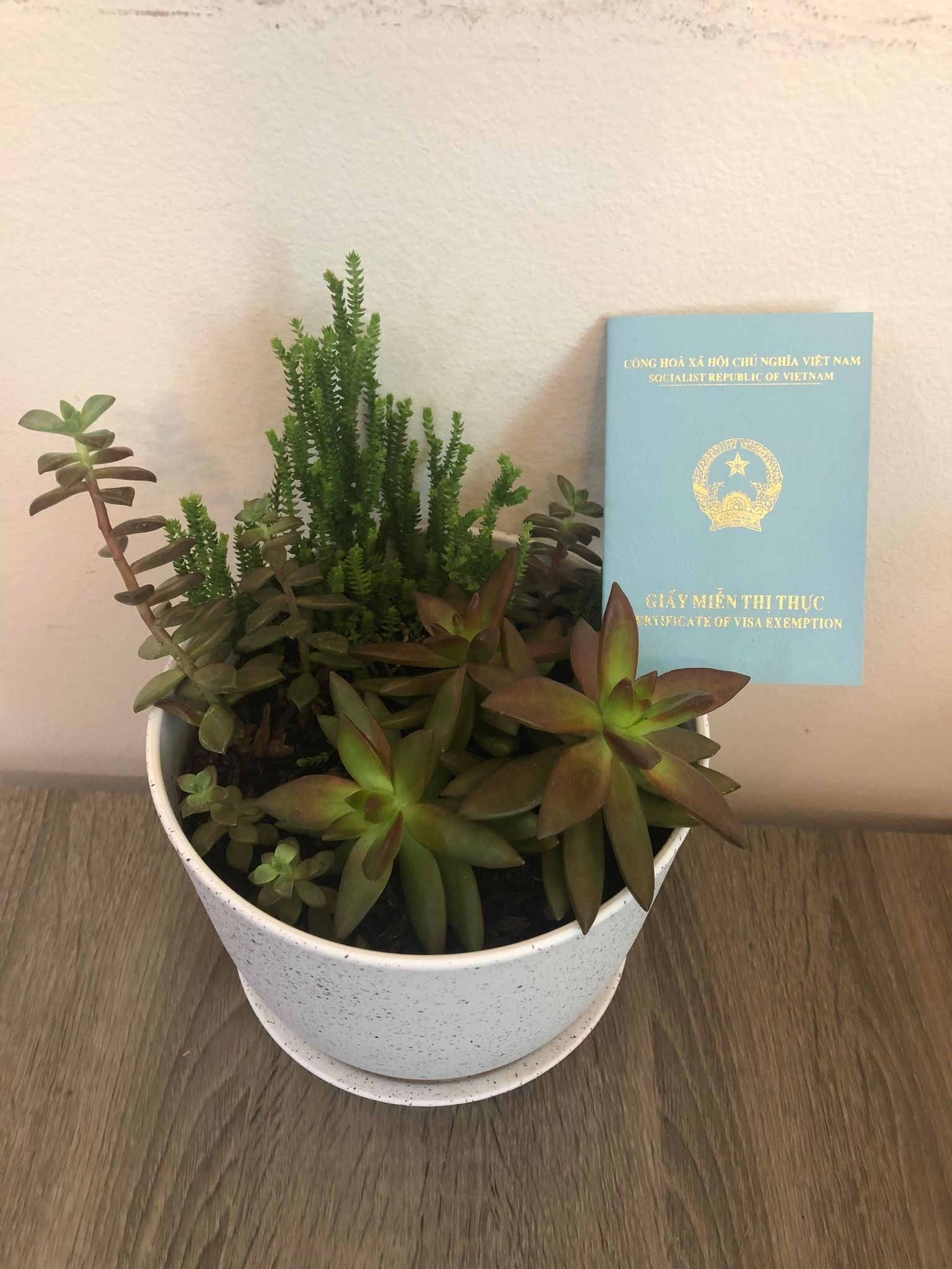 EVISA (Dành cho người mỹ )