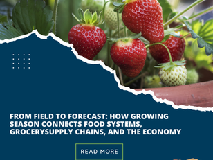 From Field to Forecast: How Growing Season Connects Food Systems, GrocerySupply Chains, and the Economy — A SCOR Perspective