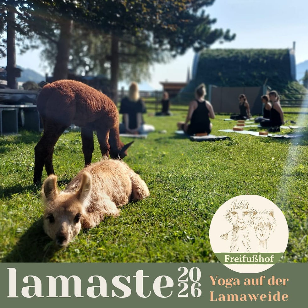 Lamaste 2026 - Yoga auf der Weide