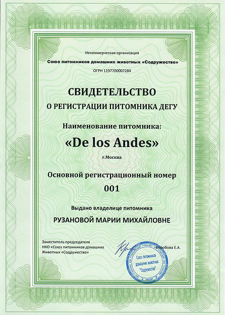Купить дегу в питомнике, купить дегу в Москве, питомник дегу, цветные дегу в Москве