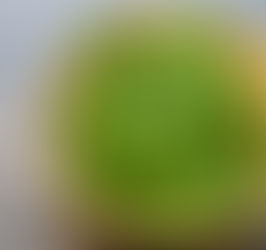 スナップエンドウのグリル