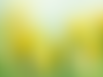 Why Personal and Professional Growth Must Precede Organisational Growth. 