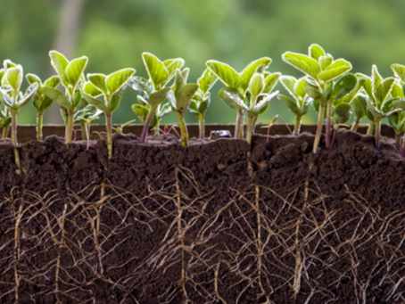 Why Succession Planning is a Waste of Time, But You Should Do It Anyway