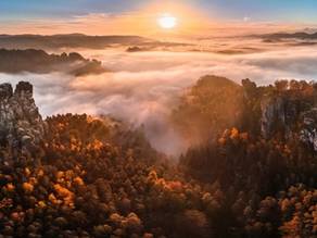 Clearing the Fog: How Leaders Can Turn Communication into Action and Performance