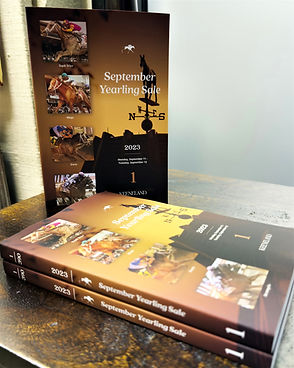 Knolhoff_Jr_Bloodstock_Agent_What_We_Do