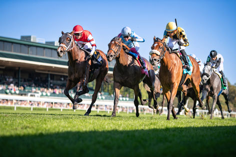 Knolhoff_Jr_Bloodstock_Thoroughbred_Agency_Gallery