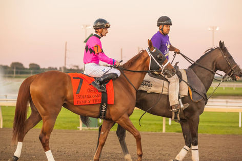 Knolhoff_Jr_Bloodstock_Thoroughbred_Agency_Gallery