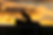 Robert Knolhoff Jr_Bloodstock Agent_Testimonials